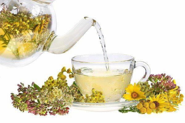 Чай при цистите – зеленый, почечный, ромашковый, травяной, монастырский, брусничный