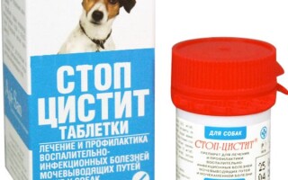 Таблетки Стоп-цистит для собак: инструкция по применению